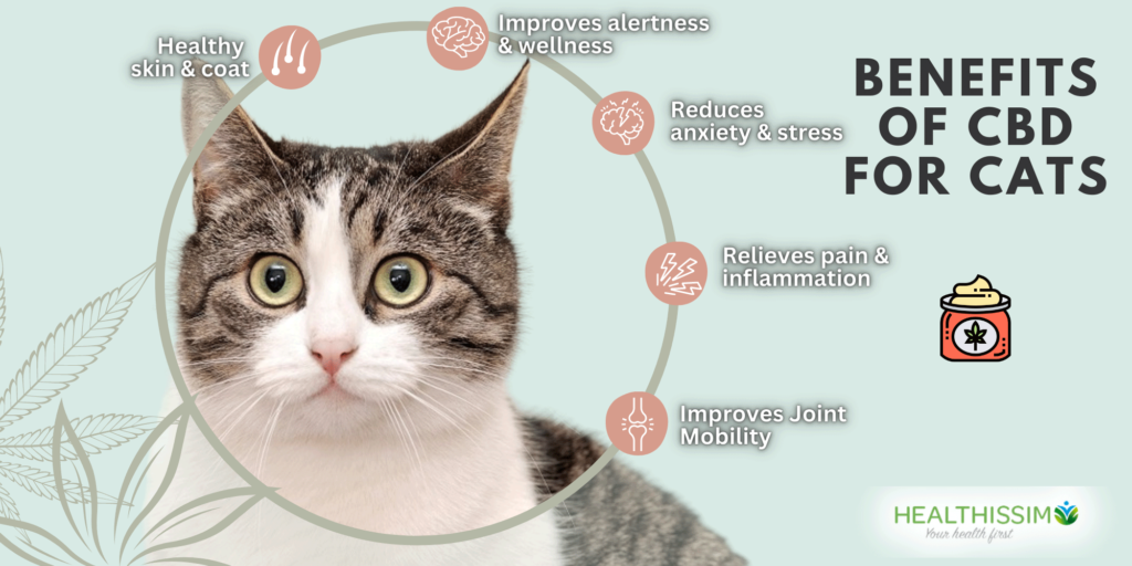 benefits of cbd for cats