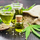 CBD Oil - Everything you need to know
