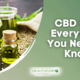 CBD Oil – Everything You Need to Know
