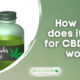 How long does it take for CBD oil to work featured image