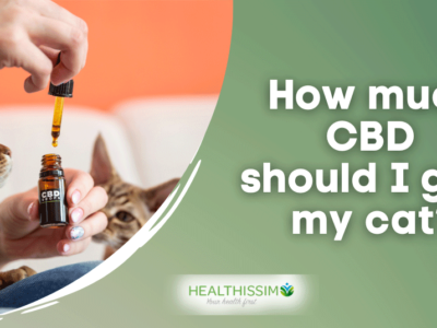 How much CBD should I give my cat