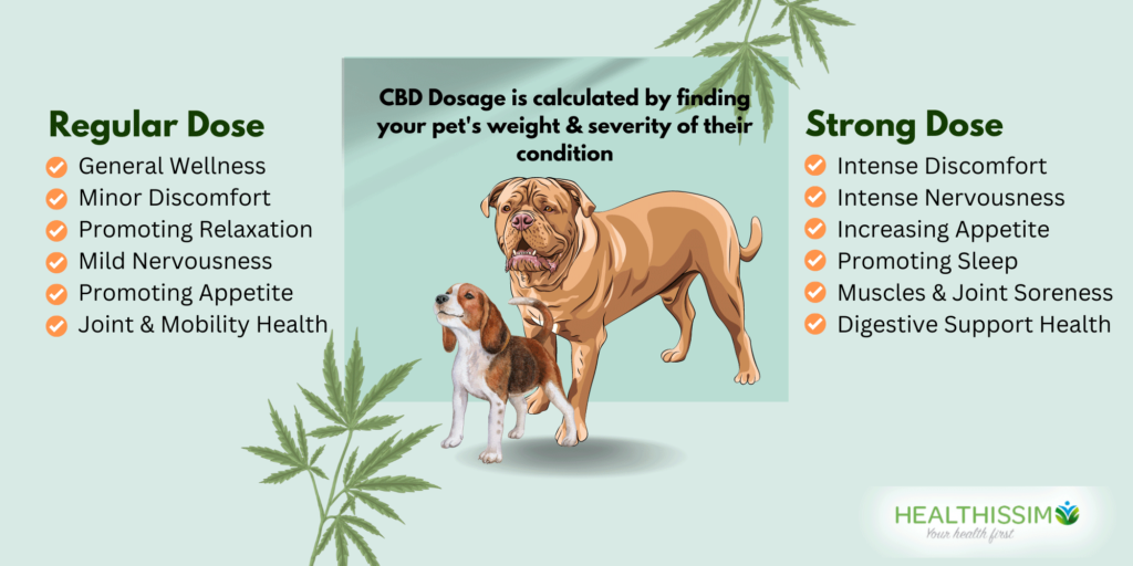 how much cbd for dogs infographics