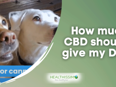 How much CBD should I give my Dog?