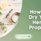 How To Dry Your Herbs Properly