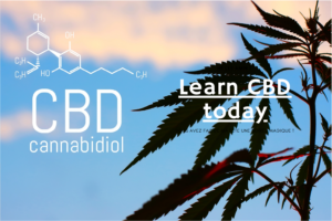 Learn CBD today with our education resources
